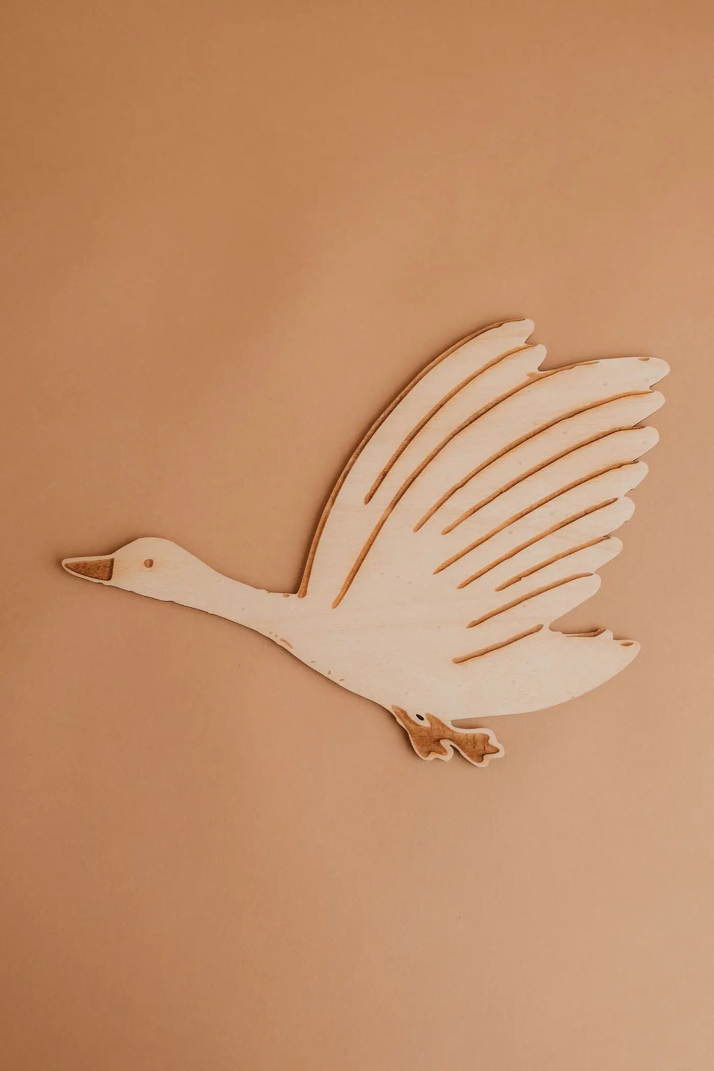 Geese — photograph 2