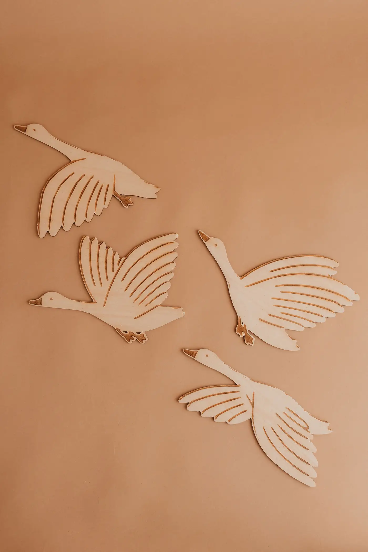 Geese — photograph 1