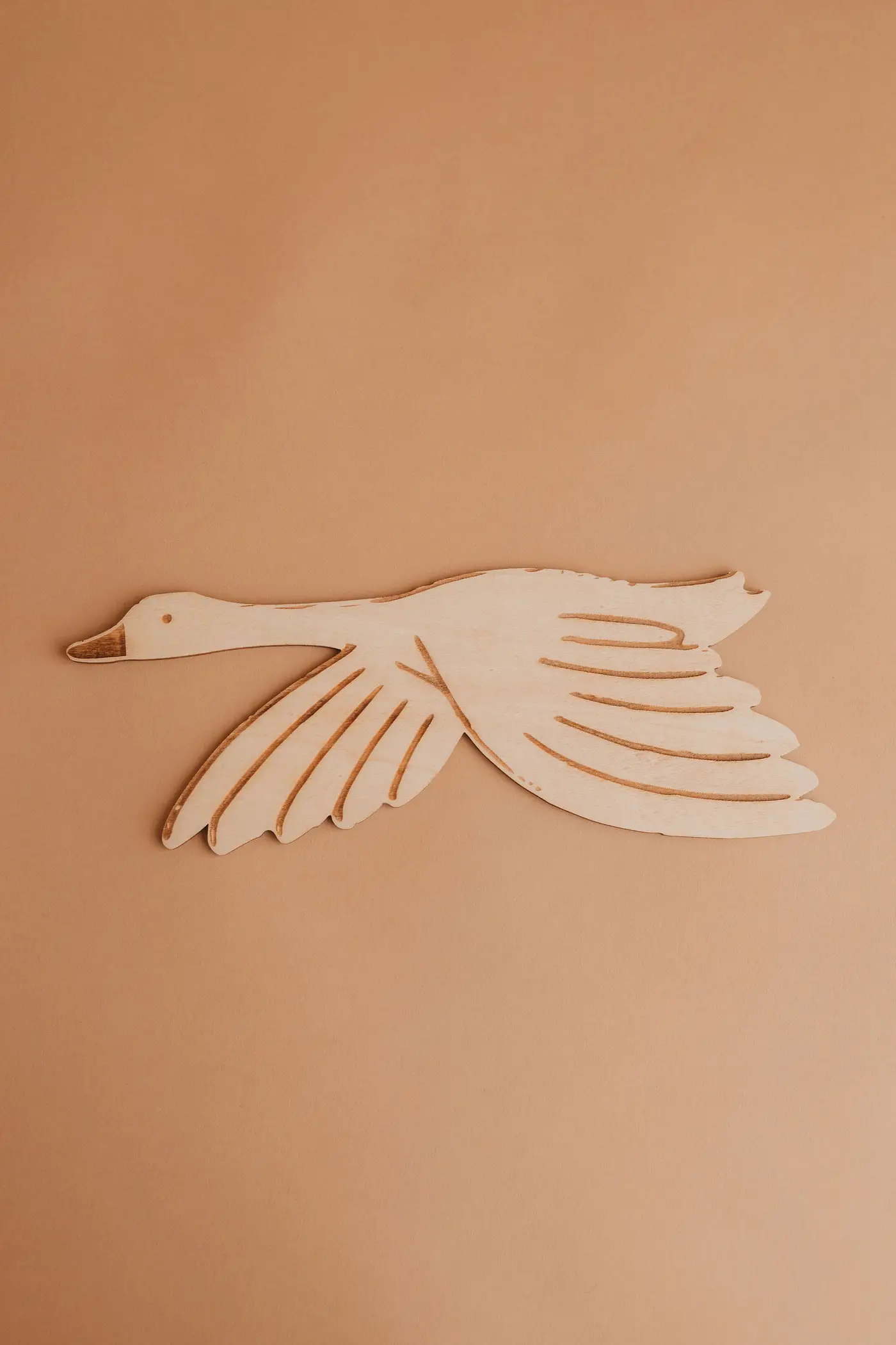 Geese — photograph 3