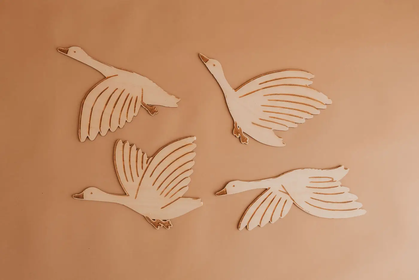 Geese — photograph 4
