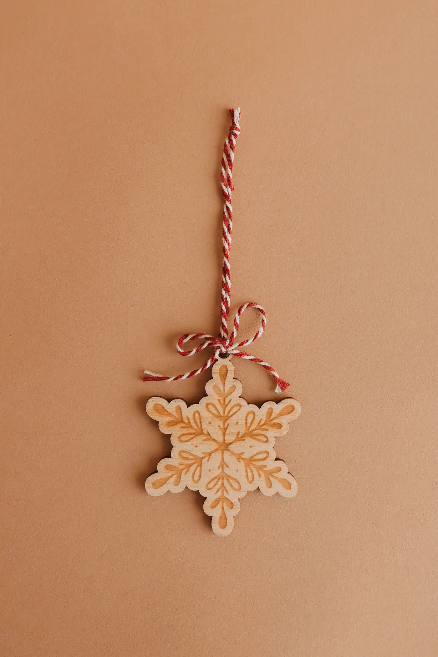 Set - Christmas symbols — photograph 2