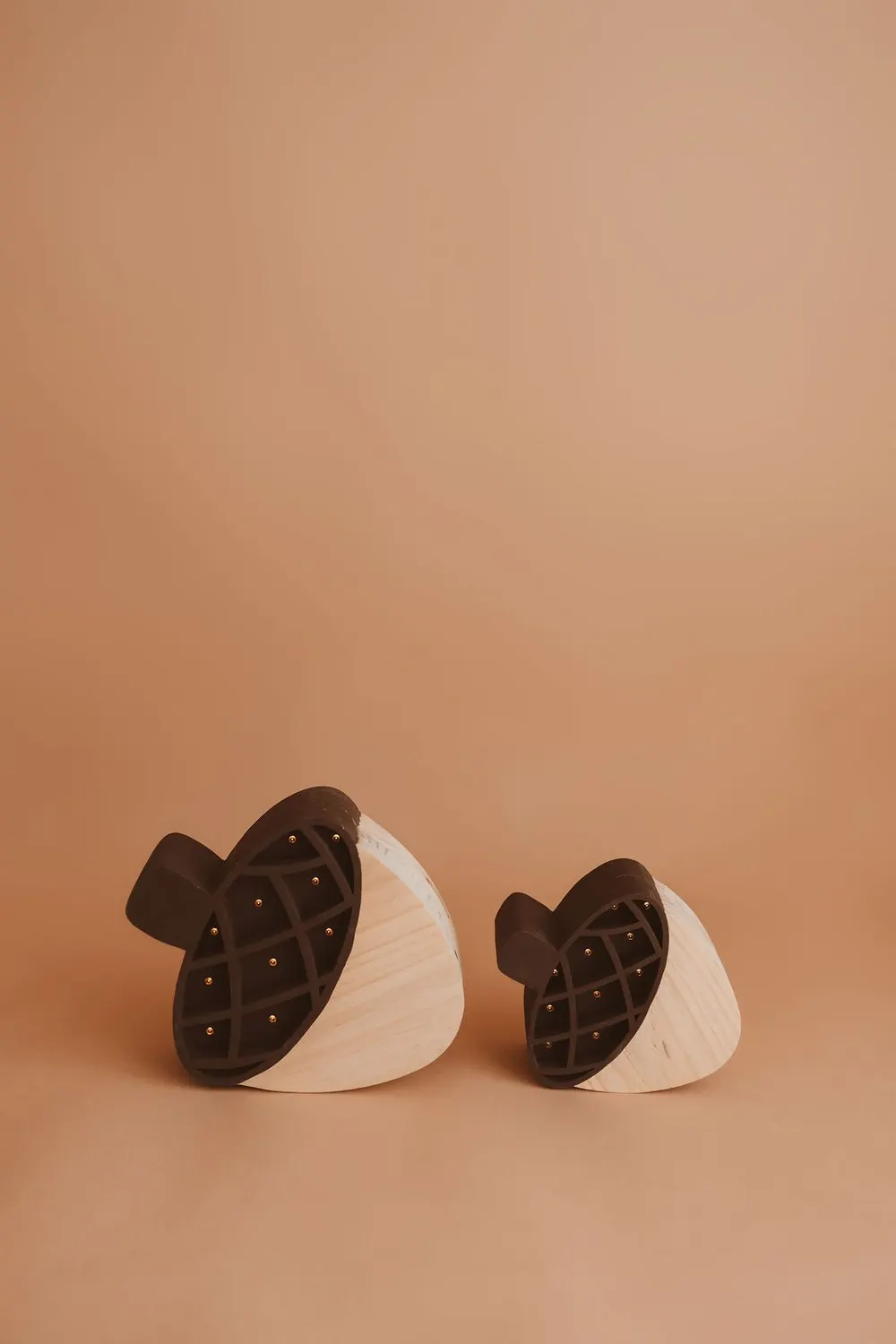 Acorn — photograph 1