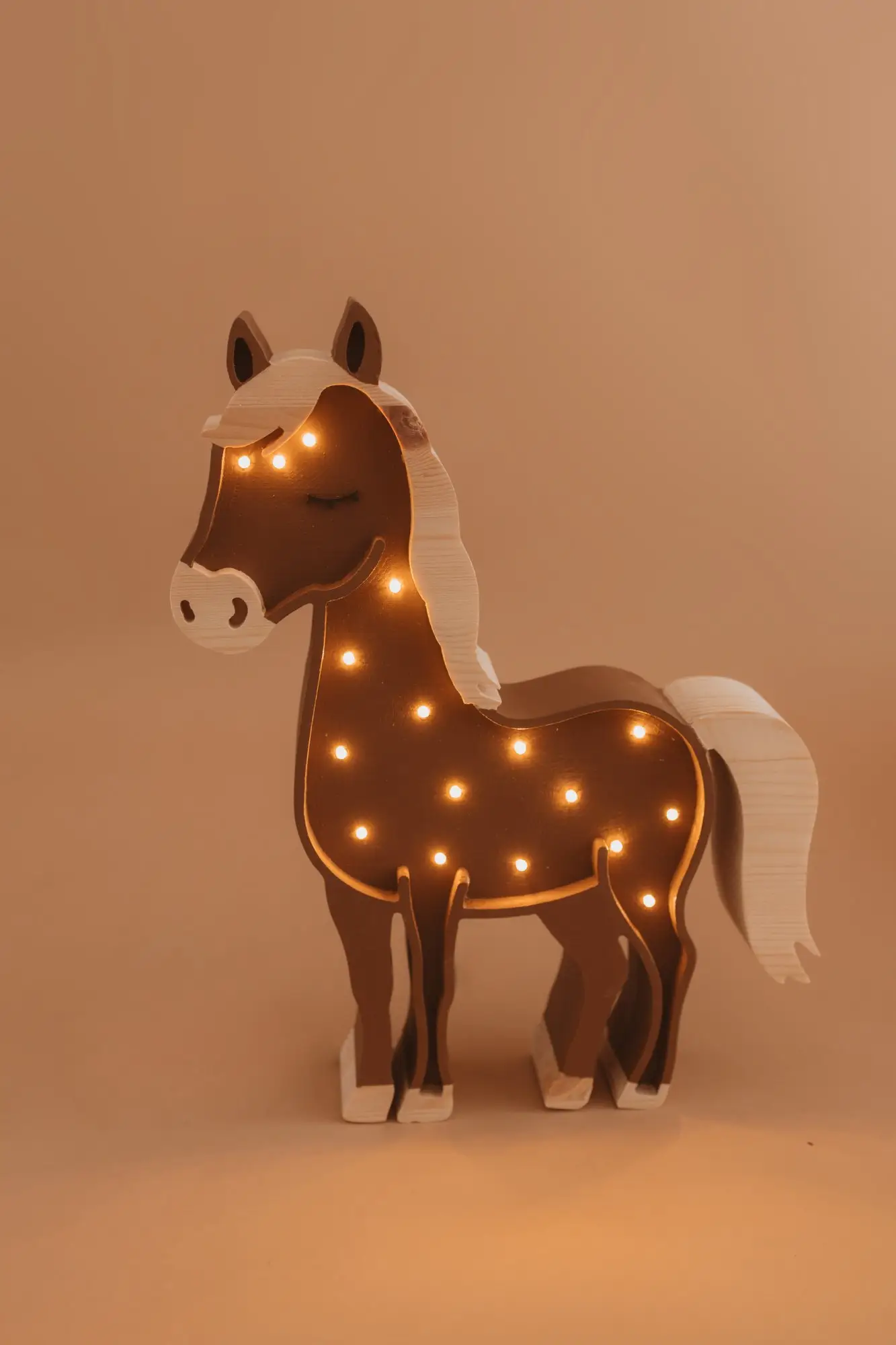 Cavalo — fotografia 1