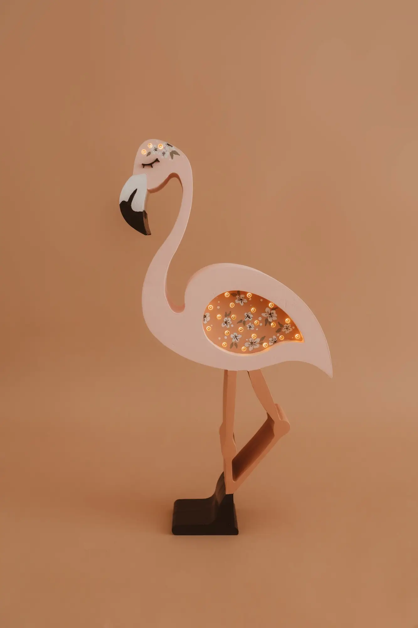 Flamingo — fotografia 1