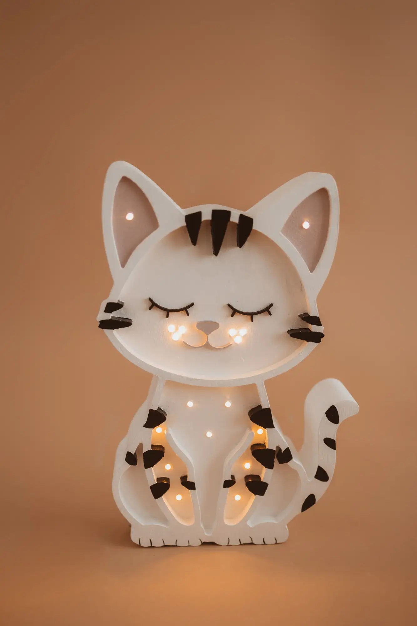 Gato — fotografia 3