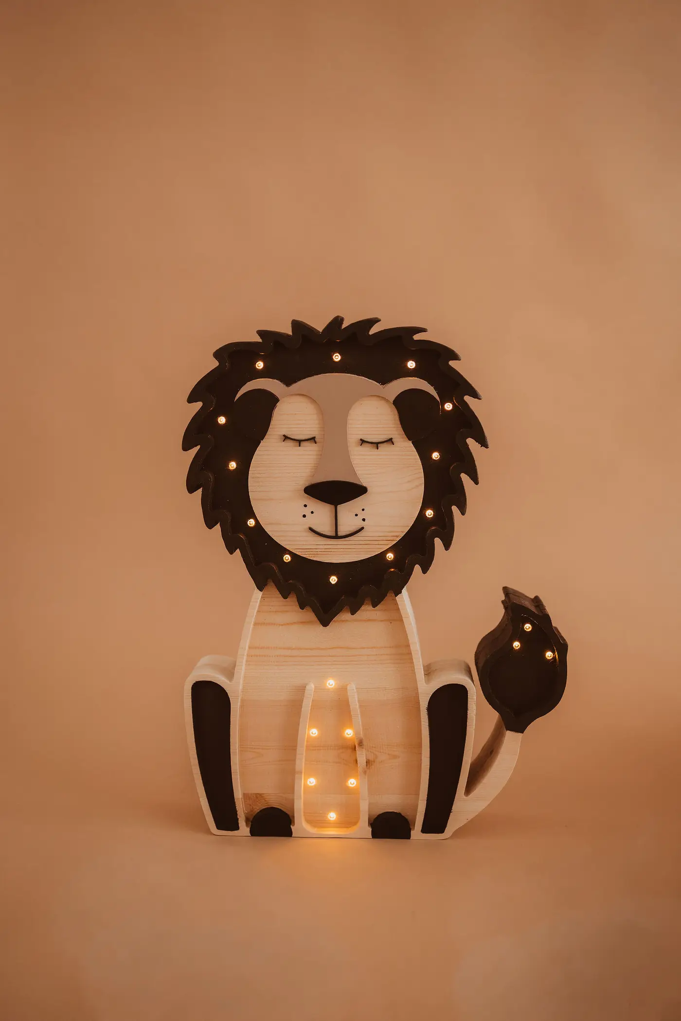 Leão — fotografia 1